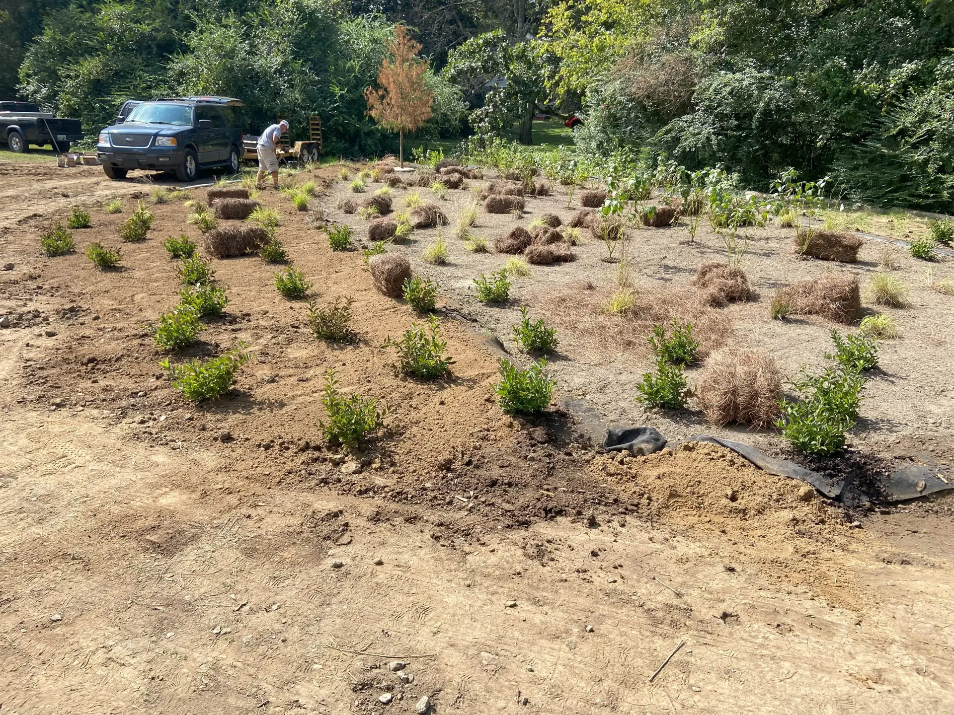 Why Grading and Drainage Matter