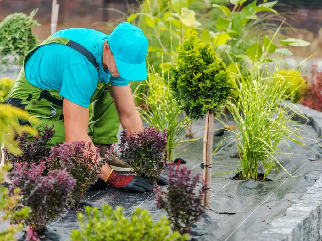 Low-Maintenance Landscaping Tips